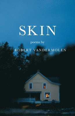 Skin 1