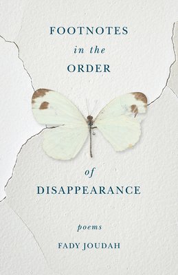 bokomslag Footnotes in the Order of Disappearance