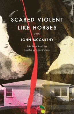 John McCarthy, McCarthy John - Scared Violent Like Horses, Häftad