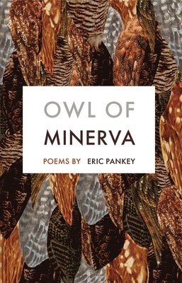 bokomslag Owl of Minerva