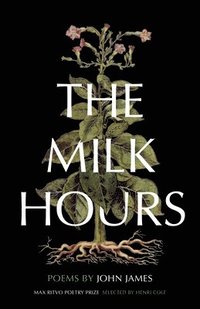 bokomslag Milk Hours