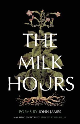 bokomslag Milk Hours
