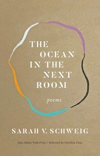 bokomslag The Ocean in the Next Room