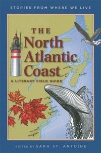 bokomslag The North Atlantic Coast
