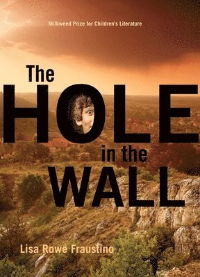 Lisa Rowe Fraustino - Hole in the Wall, Inbunden