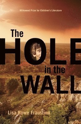 Lisa Rowe Fraustino - Hole in the Wall, Inbunden