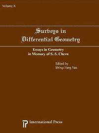 bokomslag Surveys in Differential Geometry v. 10