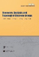 Geometry, Analysis and Topology of Discrete Groups 1