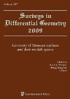 Surveys in Differential Geometry, Volume XIV