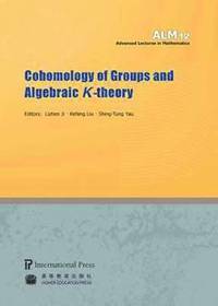 bokomslag Cohomology of Groups and Algebraic K-theory