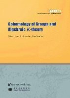 Lizhen Ji, Kefeng Liu, Shing-Tung Yau - Cohomology of Groups and Algebraic K-theory, Häftad