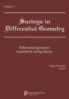 Differential geometry inspired by string theory 1