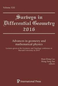 bokomslag Advances in Geometry and Mathematical Physics