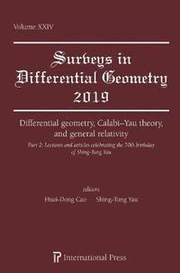 bokomslag Differential geometry, Calabi-Yau theory, and general relativity (Part 2)