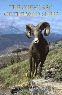 bokomslag Great Arc Of The Wild Sheep