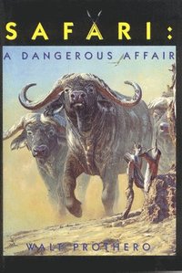 bokomslag Safari