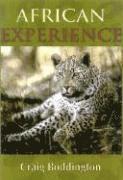 bokomslag African Experience