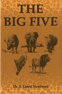 bokomslag Big Five