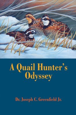 bokomslag Quail Hunter's Odyssey