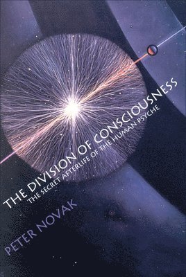 Peter Novak - Division of Consciousness, Häftad