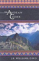 Andean Codex