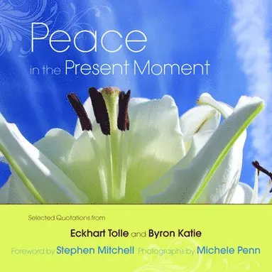 Byron Katie - Peace in the Present Moment, Inbunden