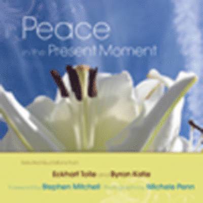 Peace in the Present Moment 1