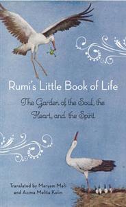 bokomslag Rumi's Little Book of Life