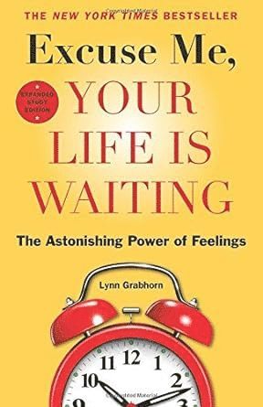 Excuse Me, Your Life Is Waiting: The Astonishing Power of Feelings 1