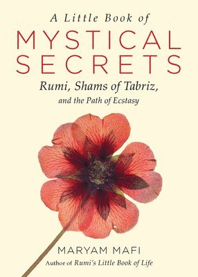 Maryam Mafi - Little Book of Mystical Secrets, Häftad
