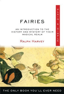 bokomslag Fairies Plain & Simple: The Only Book You'll Ever Need