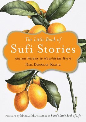 bokomslag Little Book of Sufi Stories