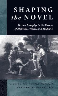 Constantina Thalia Mitchell, Paul Raymond Côté, Paul Raymond Cote - Shaping the Novel, Inbunden