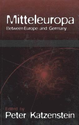 Peter Katzenstein - Mitteleuropa, Inbunden