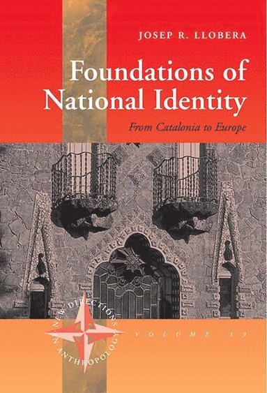 bokomslag Foundations of National Identity