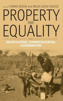 bokomslag Property and Equality