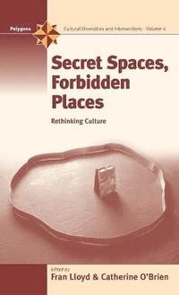bokomslag Secret Spaces, Forbidden Places