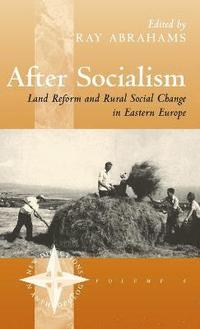 bokomslag After Socialism