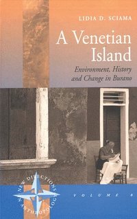bokomslag A Venetian Island