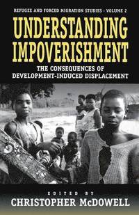 bokomslag Understanding Impoverishment