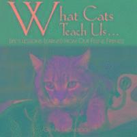 What Cats Teach Us: Life's Lessons Learned from Our Feline Friends