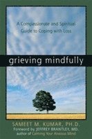 bokomslag Grieving Mindfully