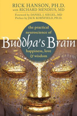 bokomslag Buddha's Brain