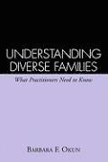 bokomslag Understanding Diverse Families