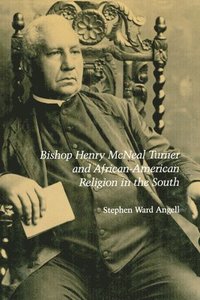 bokomslag Bishop Henry Mcneal Turner and African-