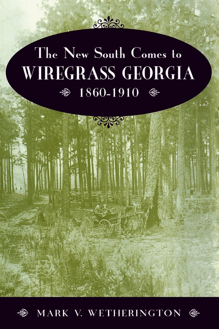 Mark V. Wetherington, Mark V Wetherington - New South Comes to Wiregrass Georgia, Häftad
