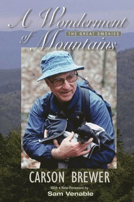 Wonderment of Mountains 1