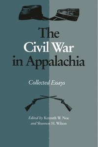 bokomslag Civil War In Appalachia