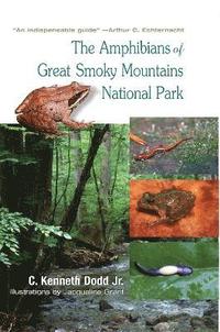 bokomslag Amphibians of Great Smoky Mountains