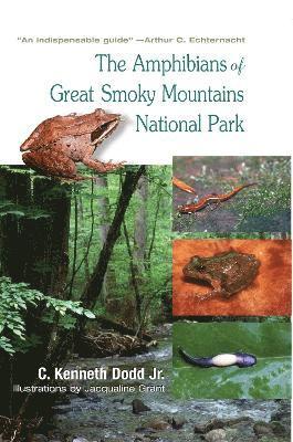 bokomslag Amphibians of Great Smoky Mountains